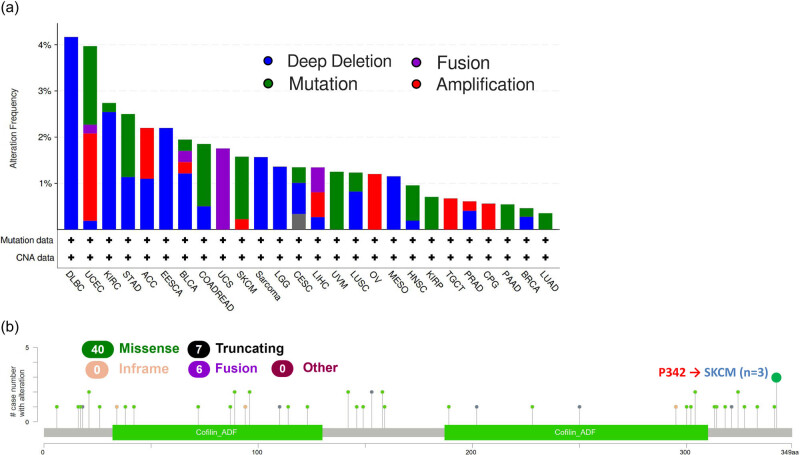PMC9449685 – j_med-2022-0547_fig_004