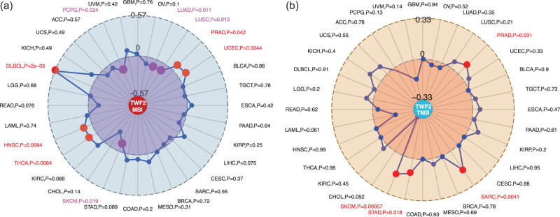 PMC9449685 – j_med-2022-0547_fig_005