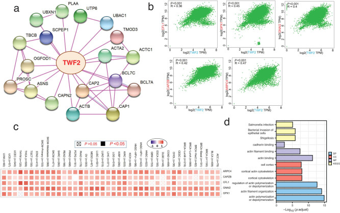 PMC9449685 – j_med-2022-0547_fig_007