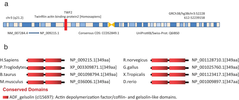PMC9449685 – j_med-2022-0547_fig_008