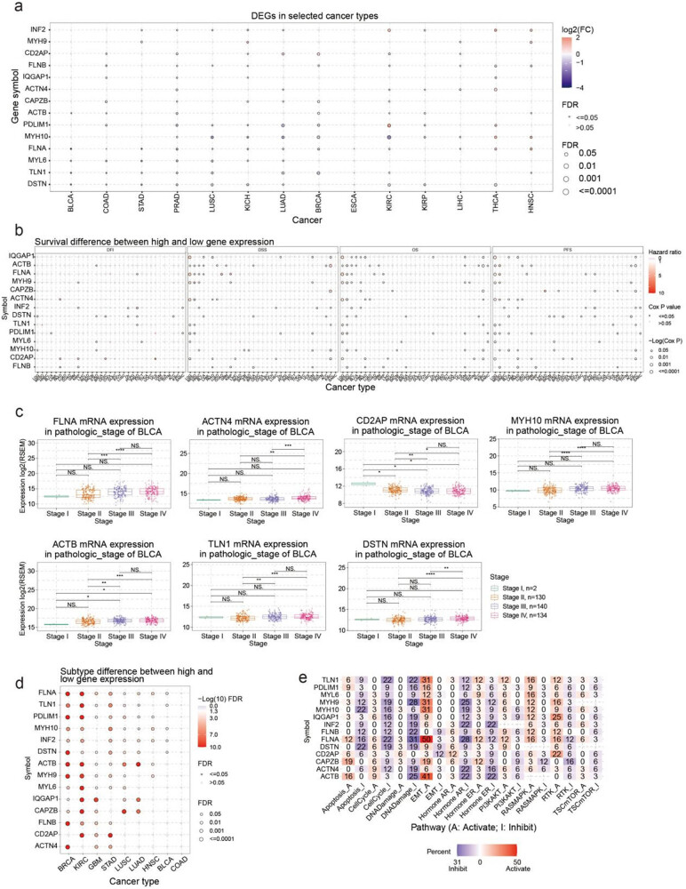 PMC10997004 – j_med-2024-0929_fig_001