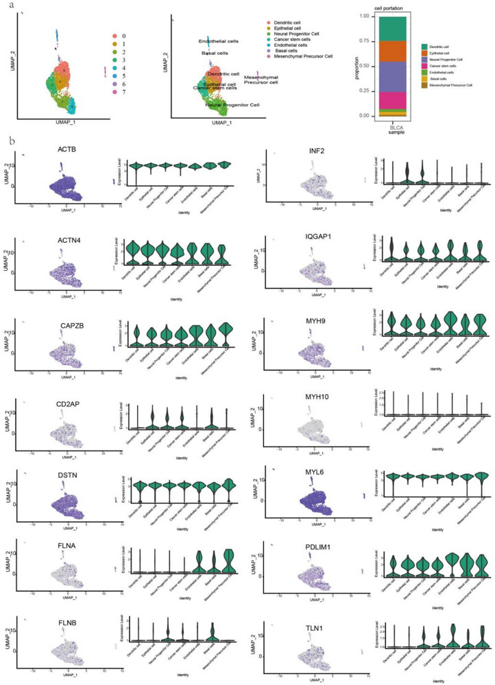 PMC10997004 – j_med-2024-0929_fig_004