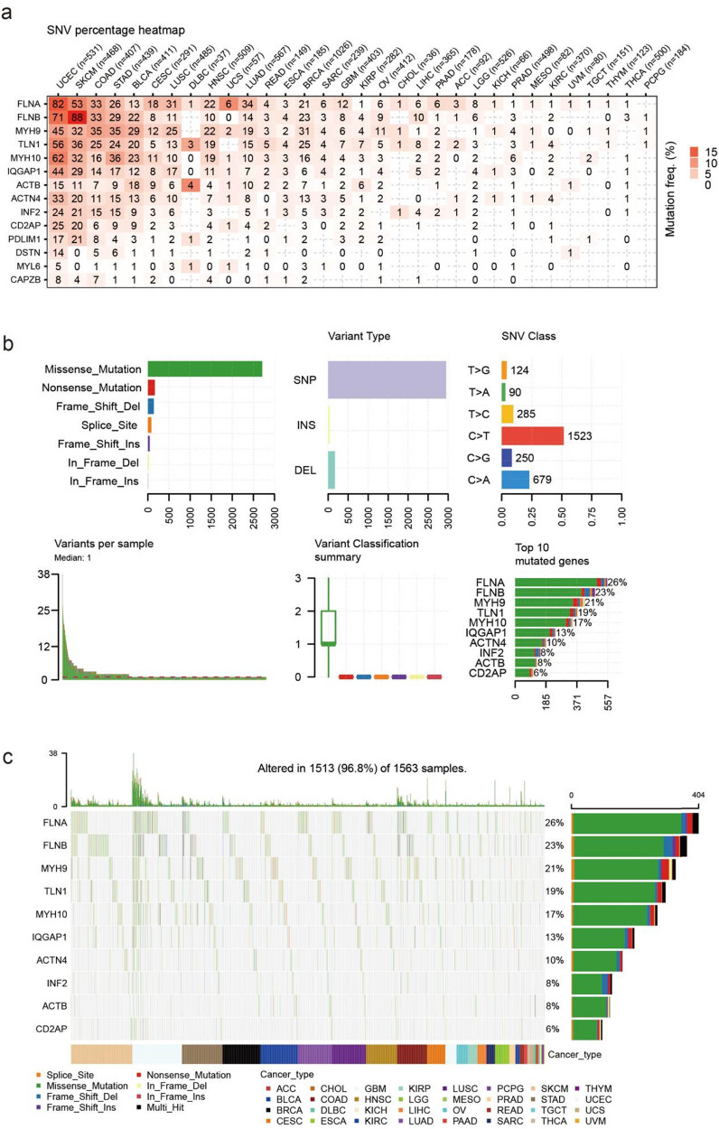 PMC10997004 – j_med-2024-0929_fig_006