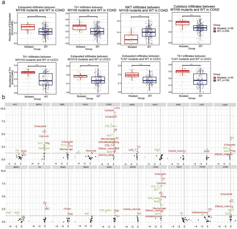 PMC10997004 – j_med-2024-0929_fig_007