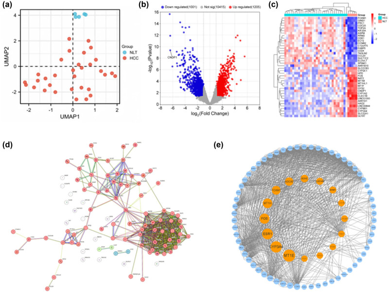 PMC11179385 – j_med-2024-0982_fig_001