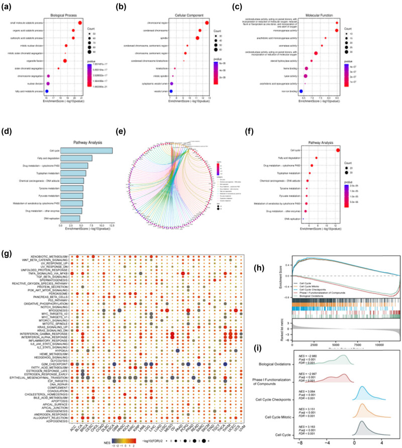 PMC11179385 – j_med-2024-0982_fig_002