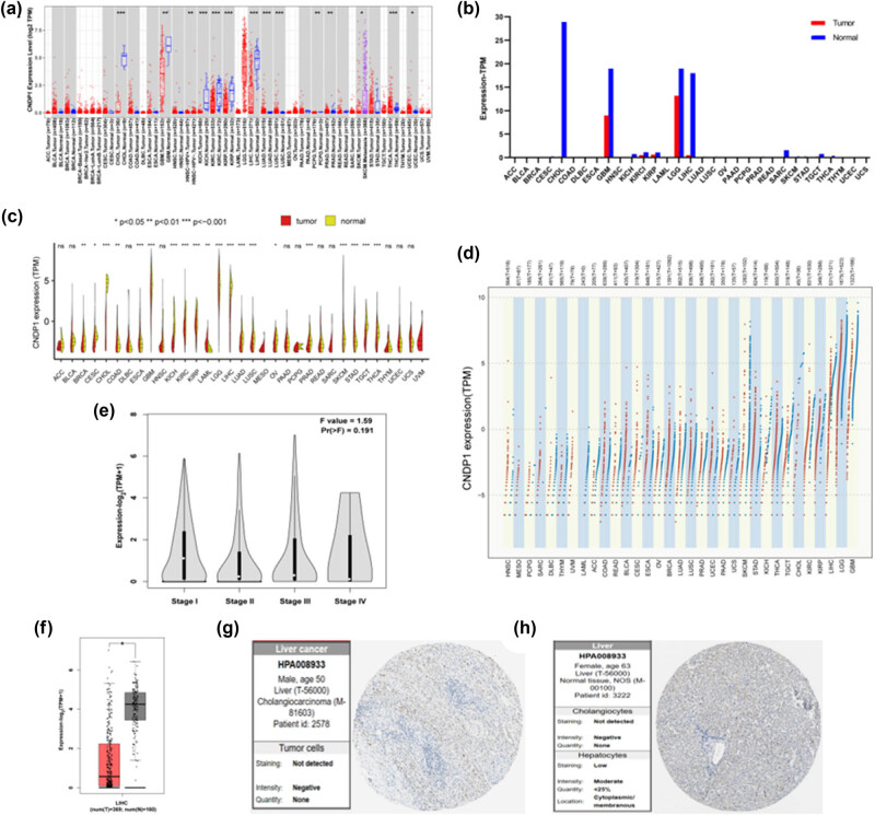 PMC11179385 – j_med-2024-0982_fig_003
