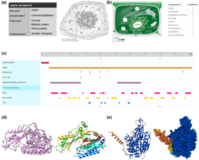 PMC11179385 – j_med-2024-0982_fig_004