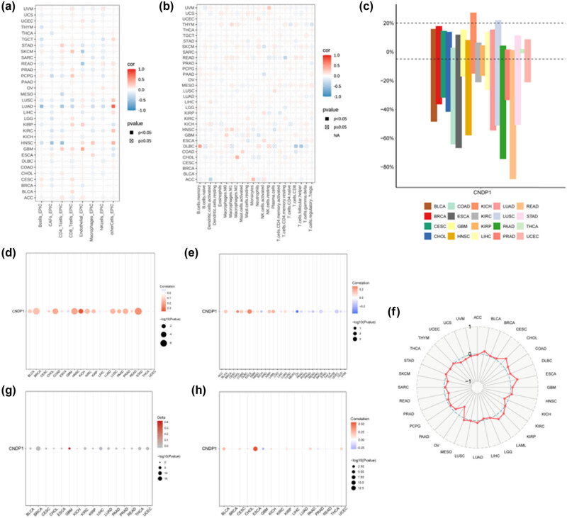 PMC11179385 – j_med-2024-0982_fig_006