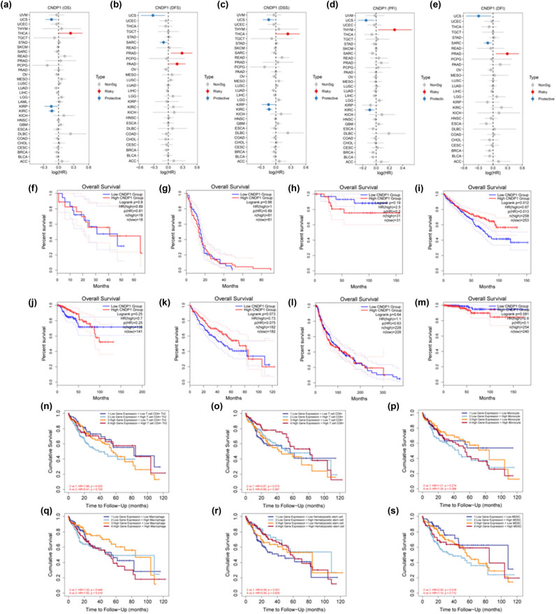 PMC11179385 – j_med-2024-0982_fig_007