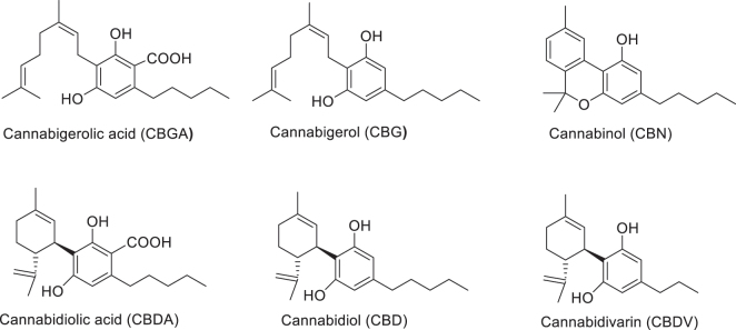 PMC12601221 – j_nipt-2024-0025_fig_001