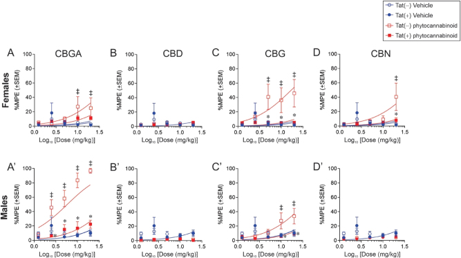 PMC12601221 – j_nipt-2024-0025_fig_003