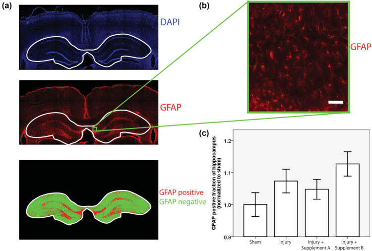 PMC7885303 – j_tnsci-2021-0010_fig_001