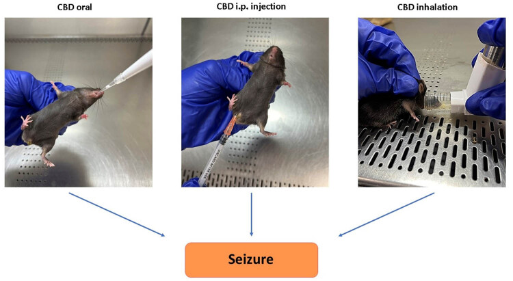 PMC11964187 – j_tnsci-2022-0362_fig_001