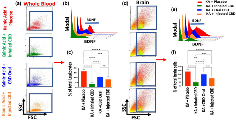 PMC11964187 – j_tnsci-2022-0362_fig_005