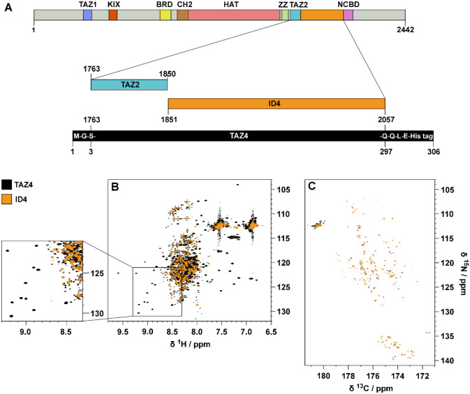 PMC12022988 – fig1