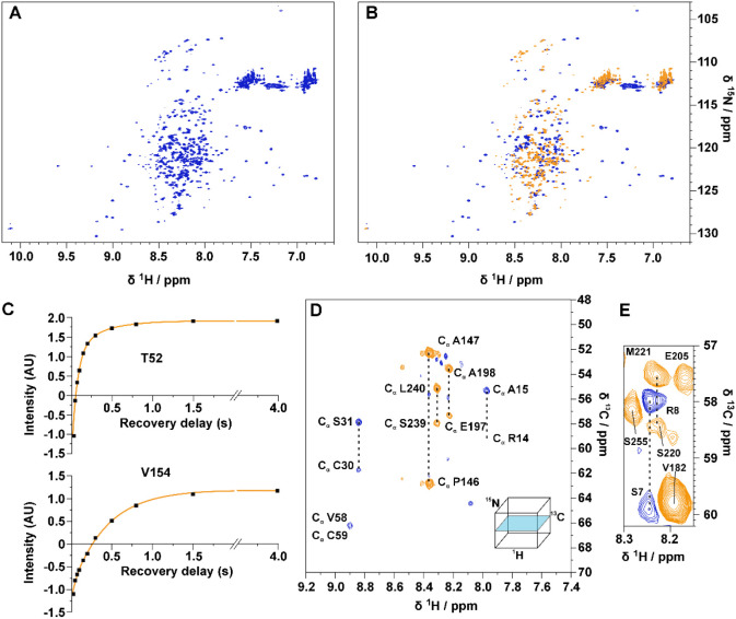 PMC12022988 – fig3