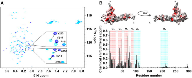 PMC12022988 – fig6