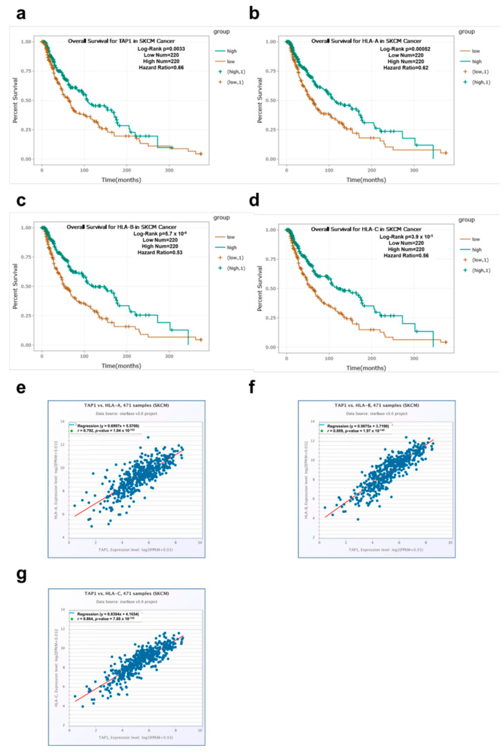 PMC7563967 – jcm-09-02690-f001