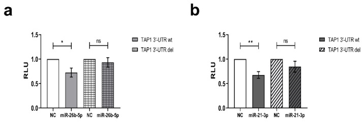 PMC7563967 – jcm-09-02690-f003
