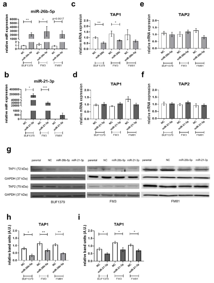 PMC7563967 – jcm-09-02690-f004
