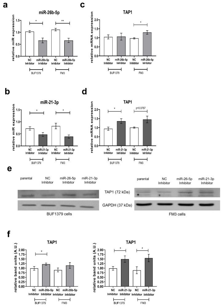 PMC7563967 – jcm-09-02690-f006