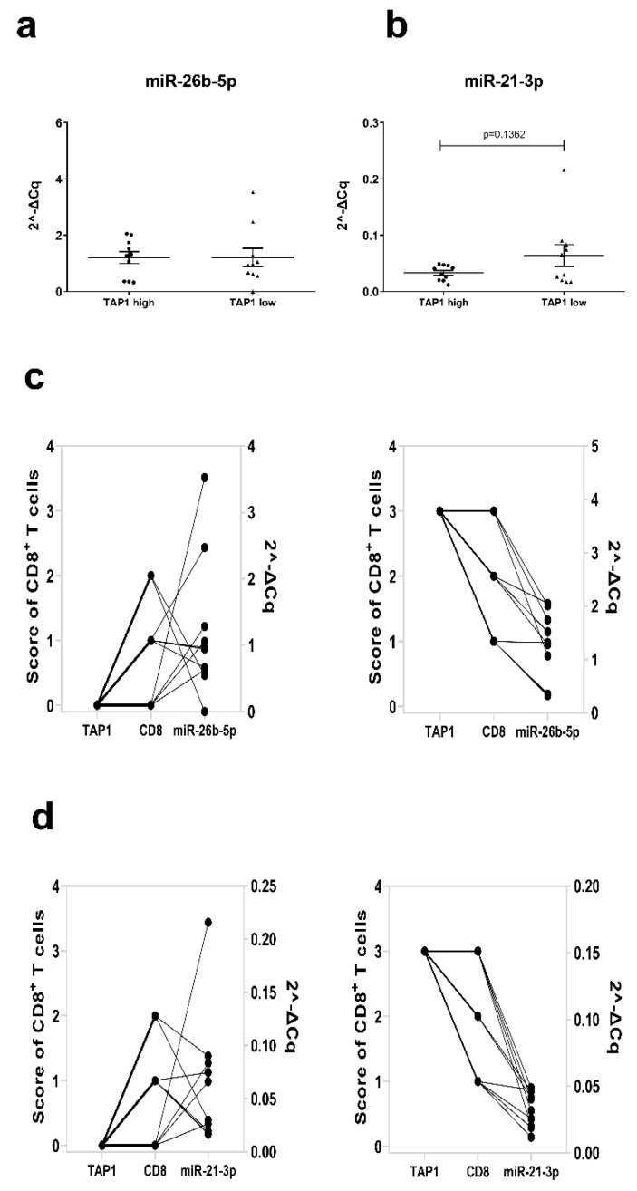 PMC7563967 – jcm-09-02690-f008