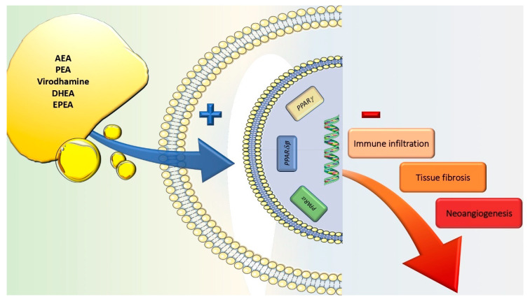 PMC7764860 – jcm-09-04036-f002