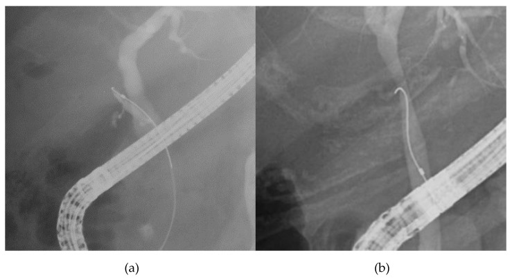 PMC7765498 – jcm-09-04059-f006