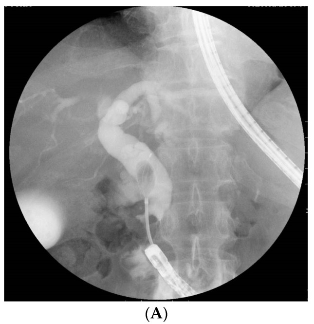 PMC8348346 – jcm-10-03314-f001