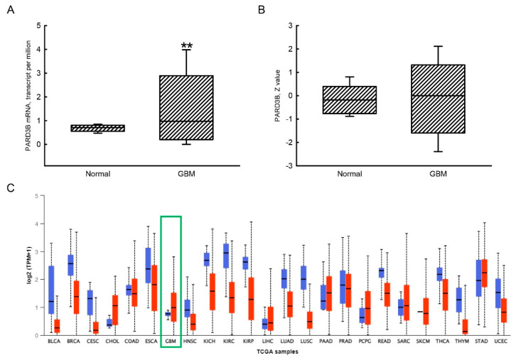 PMC9410375 – jcm-11-04818-f002