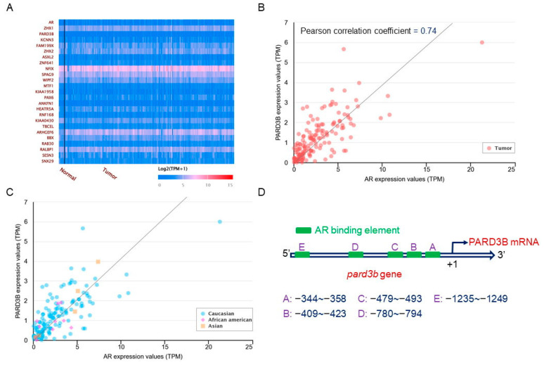 PMC9410375 – jcm-11-04818-f003