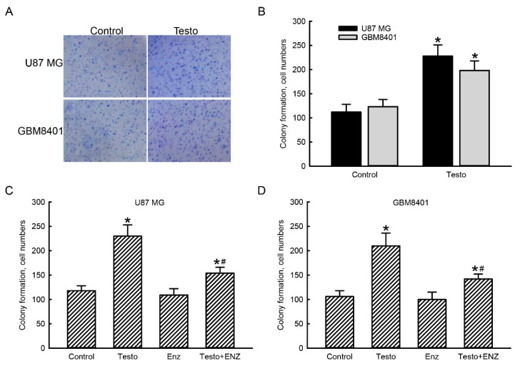 PMC9410375 – jcm-11-04818-f006