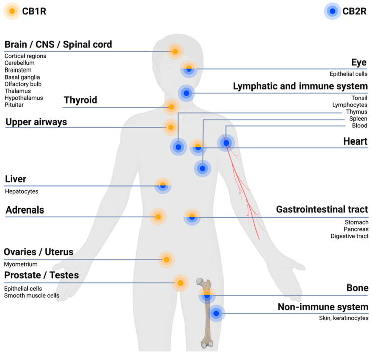 PMC9821014 – jcm-12-00307-f001