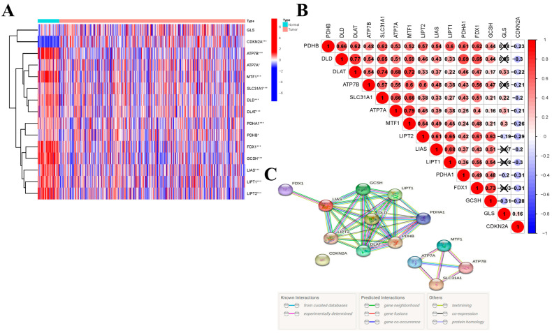 PMC10004009 – jcm-12-02014-f001
