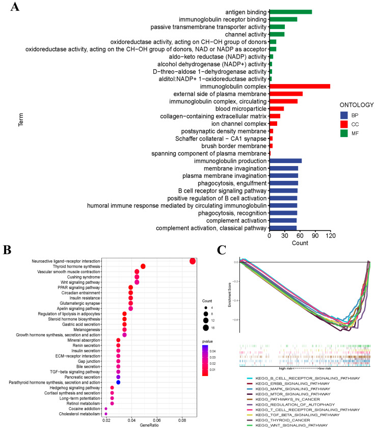 PMC10004009 – jcm-12-02014-f005