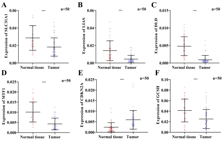 PMC10004009 – jcm-12-02014-f008