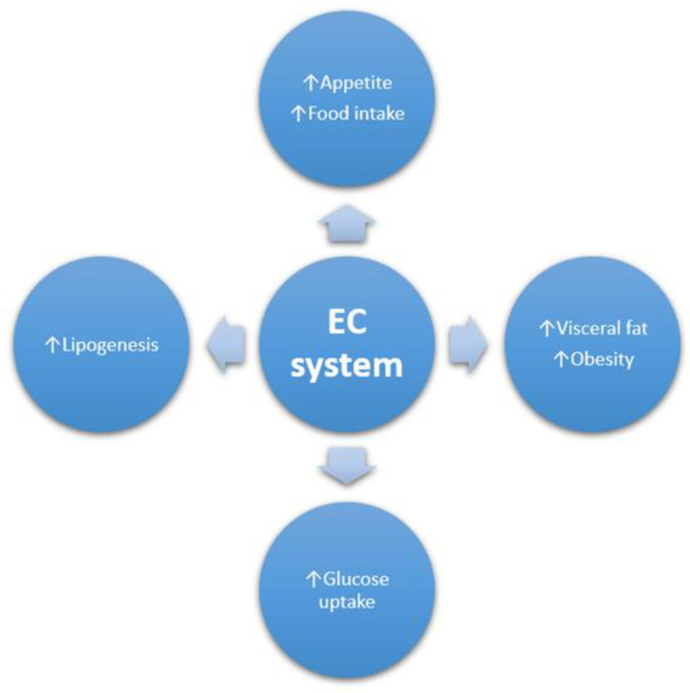 PMC10380672 – jcm-12-04620-f001
