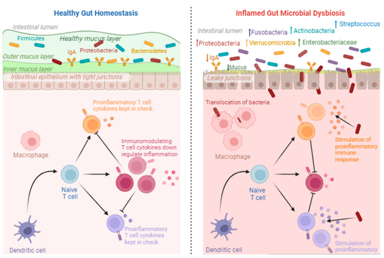 PMC10671947 – jcm-12-07071-f003
