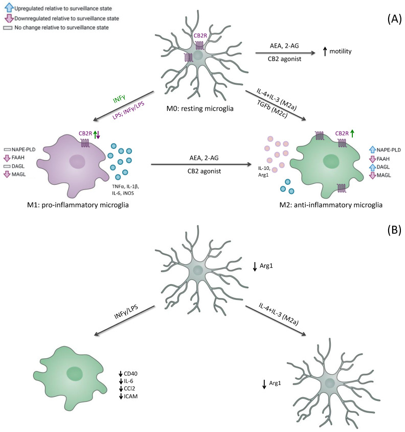 PMC10707618 – jcm-12-07201-f001