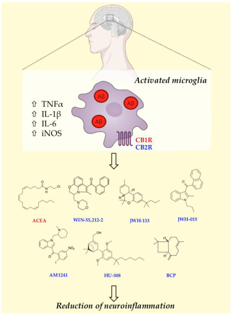 PMC10707618 – jcm-12-07201-f002