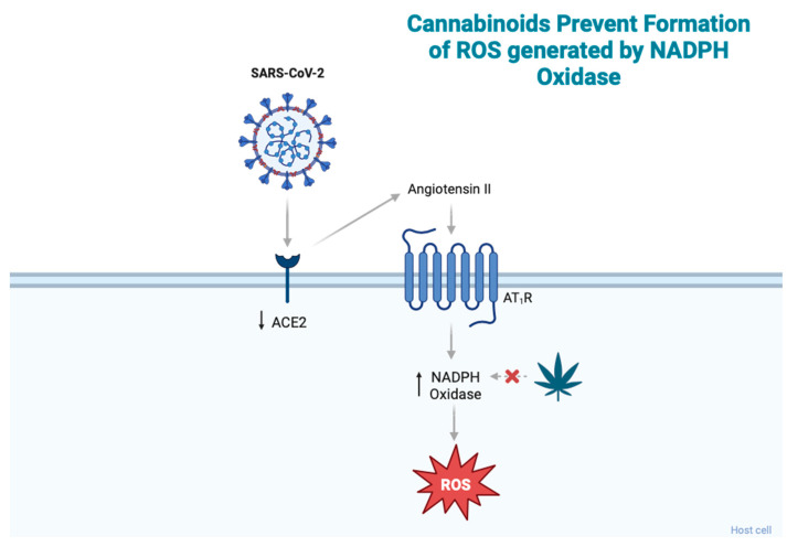 PMC10779964 – jcm-13-00227-f002