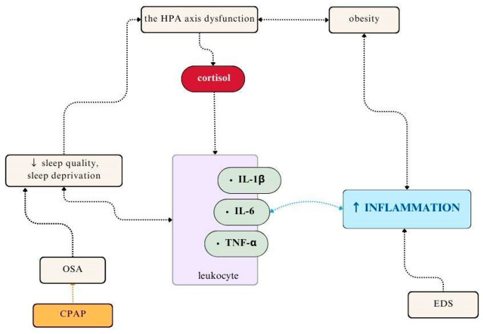 PMC11242285 – jcm-13-03656-f002