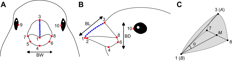PMC11959705 – JEB249681F3