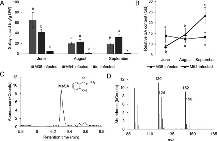 PMC10786034 – fig1