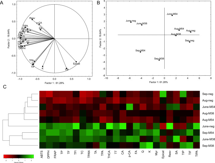 PMC10786034 – fig3