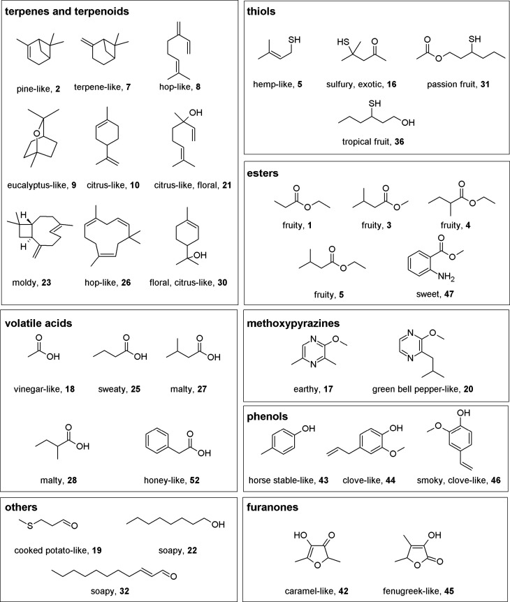 PMC12464981 – fig1