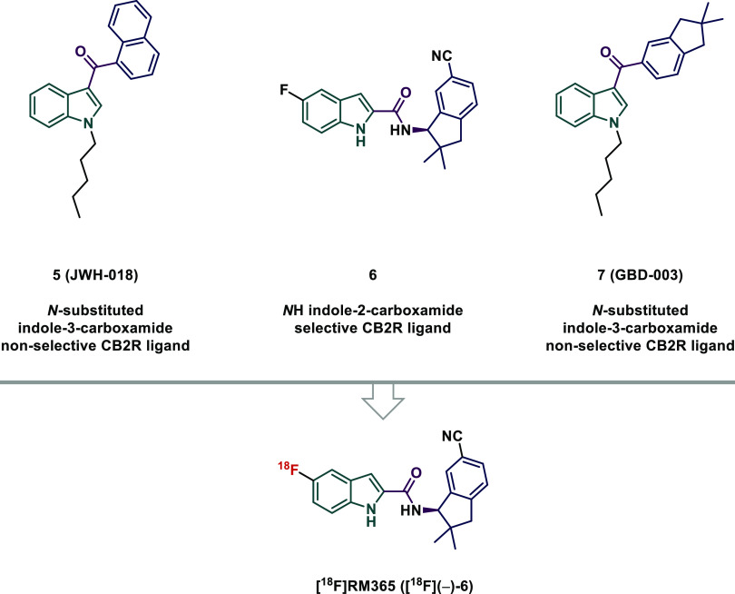 PMC10614203 – fig2