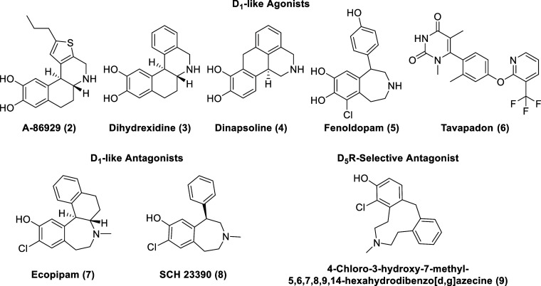 PMC11320586 – fig2