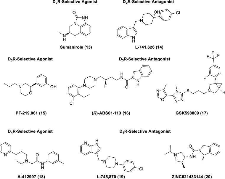 PMC11320586 – fig4